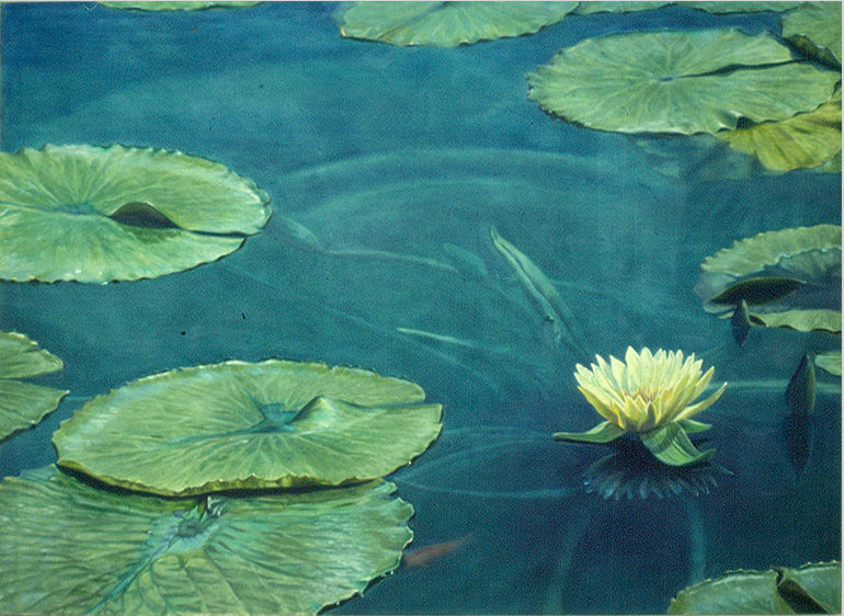 Waterlilly, Oil on canvas, 1987, ©2011, PPCD, LLC