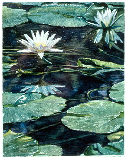 01-Waterlilly
