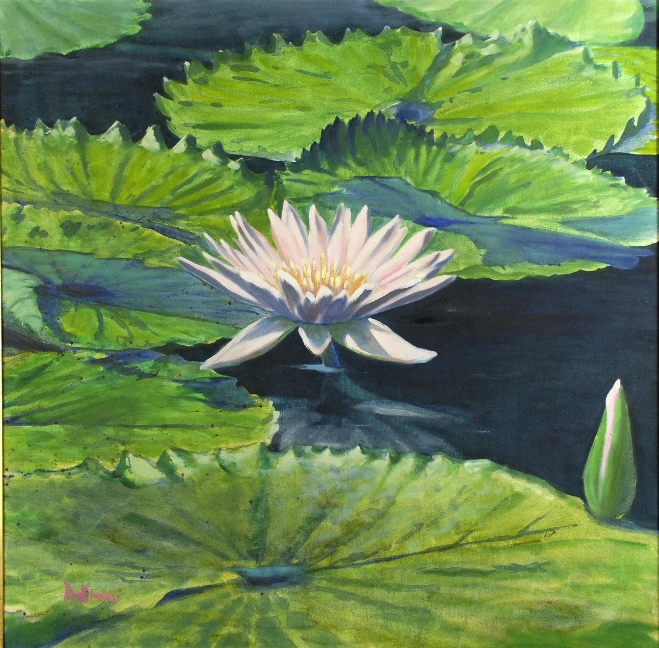 Waterlily, oil on canvas, 1988, 24 x 25 inches